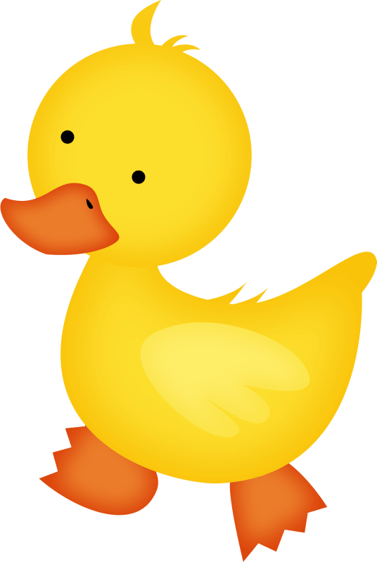Patkica